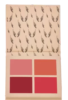 paleta-angel-blush-catharine-hill-transp